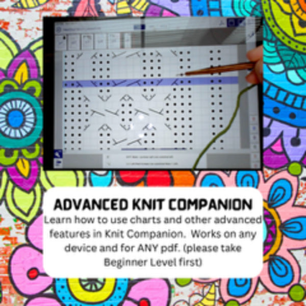Advanced Knit Companion w/Heidi Sunday: Friday July 31st 2-4 (Limit 6 students)