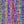 Ella Rae Prismatic