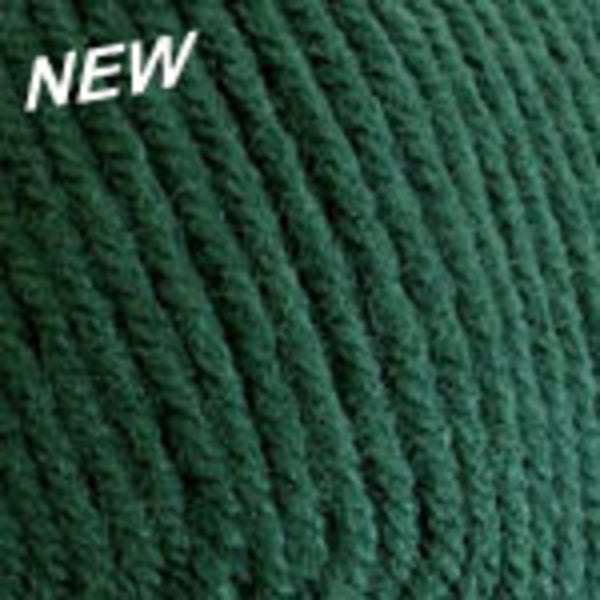 Plymouth Encore Worsted