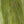 Lana Grossa Natural Superkid Tweed