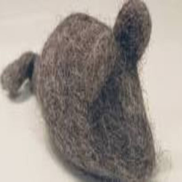Fibres of Life