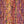 Ella Rae Prismatic
