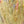 Rico Fashion Cotton Alpaca Fun Neps