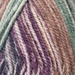 Plymouth Yarn Company Encore Chunky Colorspun
